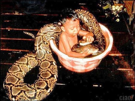Niños que luchan con serpientes como reclamo turístico