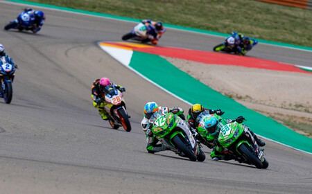 Steeman Aragon Ssp300 2022