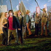 Para Harry Potter y el Cáliz de Fuego en el minuto 6:25 y verás que hasta en los mundiales de Quidditch hay aficionados del Betis