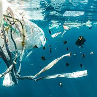 Creíamos que bolsas y pajitas eran el culpable de la contaminación oceánica. Pero lo que llena el gran vertedero del Pacífico es muy diferente