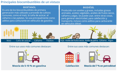 Principales Biocombustibles Eea