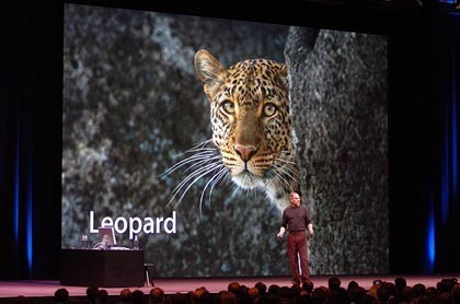 Rumores sobre creación de documentos "colaborativos" en Leopard
