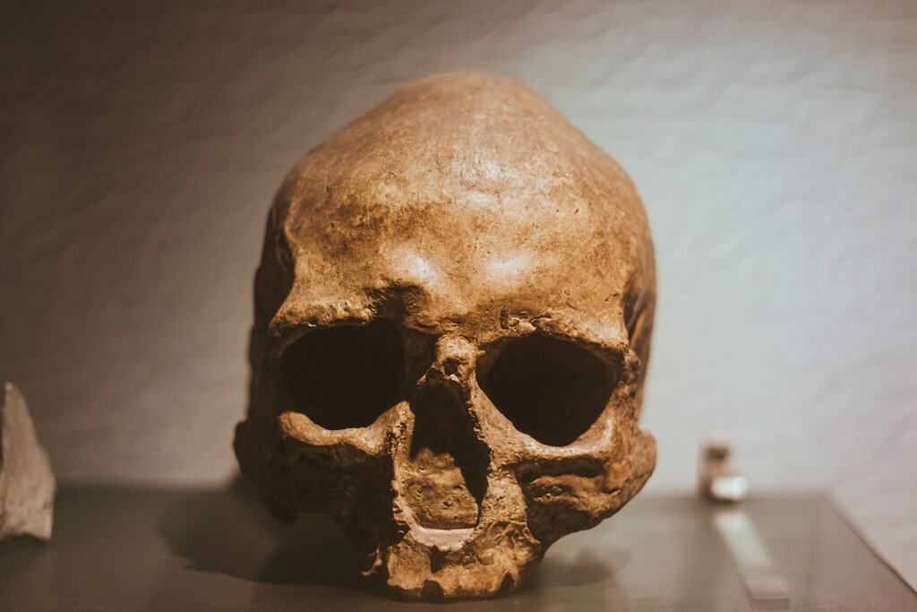 El cráneo que lo cambia todo: un fósil de un millón de años sugiere que el 'Homo sapiens' no proviene de África 