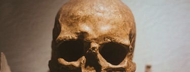 El cráneo que lo cambia todo: un fósil de un millón de años sugiere que el 'Homo sapiens' no proviene de África 