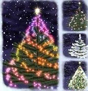 Preparando la Navidad, el árbol