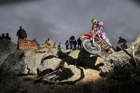 Red Bull Don Quixote