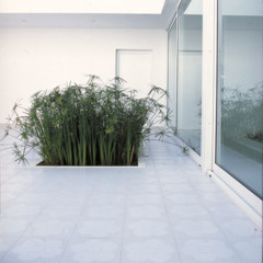 Foto 5 de 9 de la galería casas-de-famosos-agatha-ruiz-de-la-prada en Decoesfera