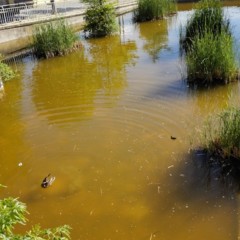 Foto 3 de 10 de la galería fotografias-tomadas-con-huawei-ascend-p7 en Xataka