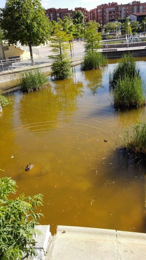 Fotografías tomadas con Huawei Ascend P7