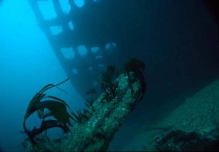 Buscando acero alemán de la Primera Guerra Mundial para alcanzar las estrellas (II)