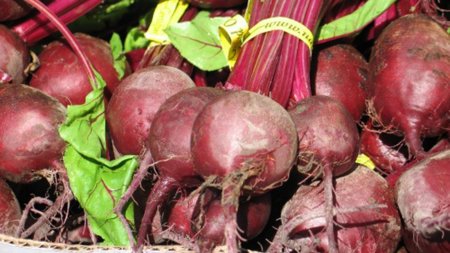 Remolacha: una desconocida fuente de potasio