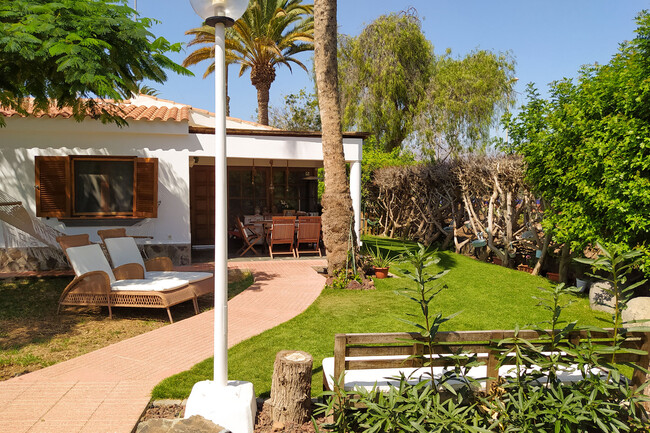 Los patios, terrazas y jardines también son para el invierno