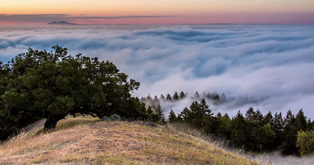 ‘Mount Tamalpais Fog’, un timelapse que muestra un océano de nubes durante un año y medio