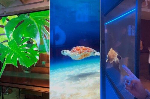 Lg Signature Oled T Portada