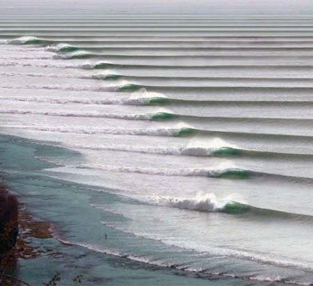 Chicama Surf 8 489x445