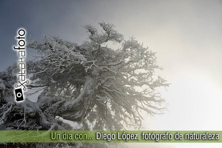 Un día con... Diego López, fotógrafo de naturaleza