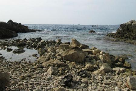 playa de rovinj.jpg