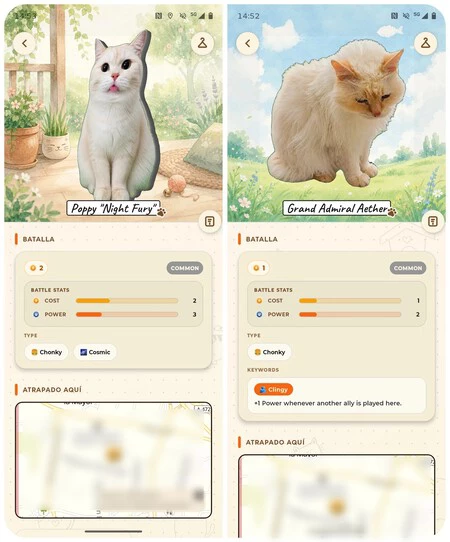 Capturas Catchcat