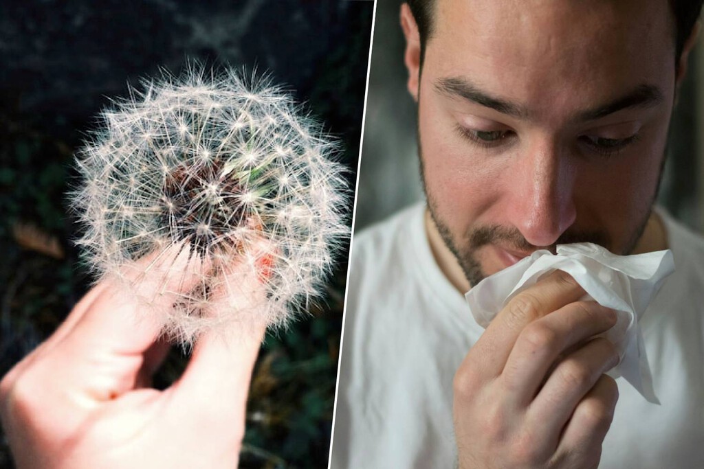 El cambio climático y las lluvias invernales han creado la "tormenta perfecta": la primavera será un infierno para los alérgicos