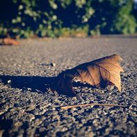 La importancia de los datos desestacionalizados: el paro está aumentando a niveles que no veíamos en casi siete años