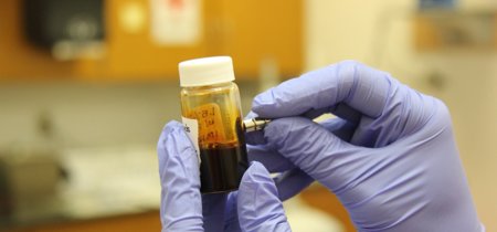 19 buscadores académicos que todo investigador debería conocer