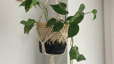 Macrame Plantas