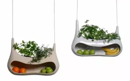 Cocoon, un frutero y un tiesto para las aromáticas