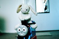 Viajar con animales (y con bestias)