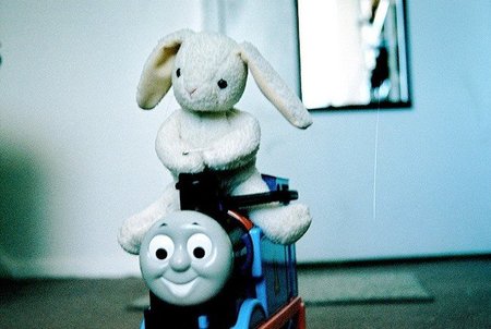 Viajar con animales (y con bestias)