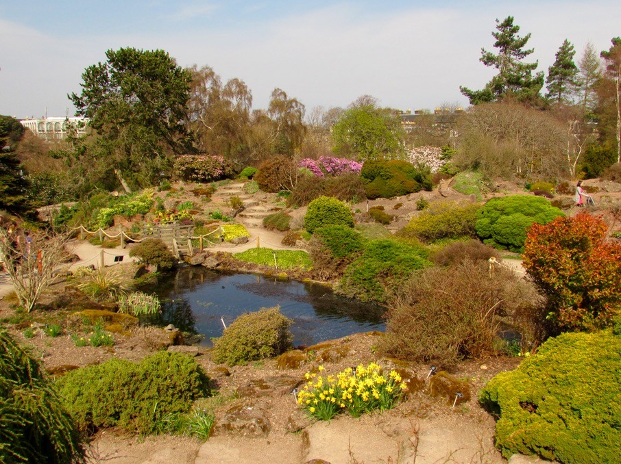 Visita al Jardín Botánico de Edimburgo, un edén con vistas