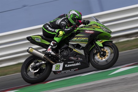 Ana Carrasco Entevista