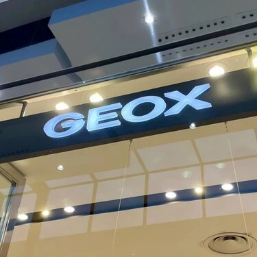 Geox1