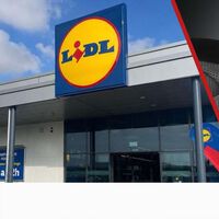 Lidl tira el precio del aspirador en seco y en húmedo que vuela cada vez que se pone a la venta. Es perfecto para limpiar el coche