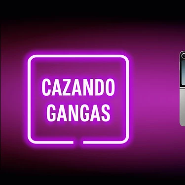 Cazando Gangas