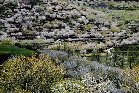 Valle Del Jerte