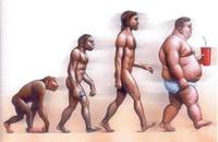 Los gordos producen menos