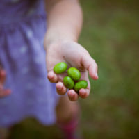 Un niño de dos años casi muere atragantado por una aceituna, ¿qué hacer en estos casos? 