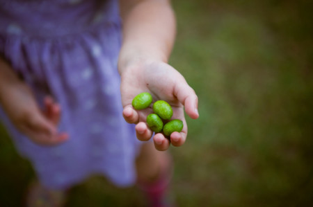 Un niño de dos años casi muere atragantado por una aceituna, ¿qué hacer en estos casos?