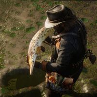 Todos los peces de Red Dead Redemption 2, dónde encontrarlos y cómo pescarlos 