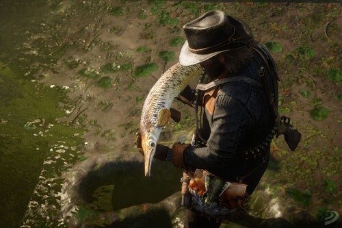 Todos los peces de Red Dead Redemption 2, dónde encontrarlos y cómo pescarlos 