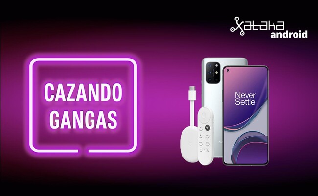 Cazando Gangas Morado