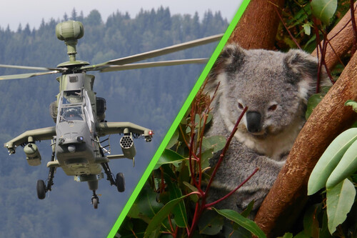 Helicoptero Koala