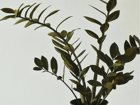 Copia De Plantilla 1200x900 17