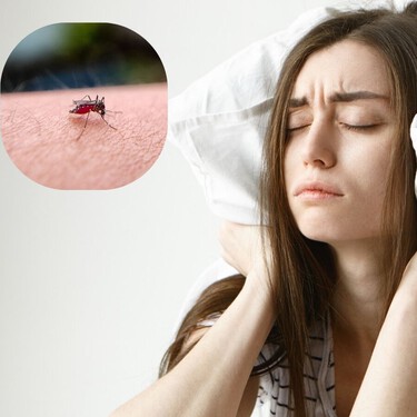 3 trucos caseros para ahuyentar a los mosquitos y dormir tranquilo durante la temporada de lluvias