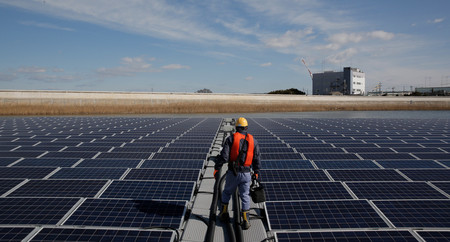 Apple es la compañía que más energía solar usa en Estados Unidos