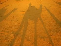desert.jpg