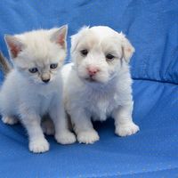 ¿Tu pyme tiene un club de clientes? 