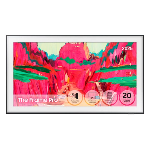 Samsung The Frame Pro 65″