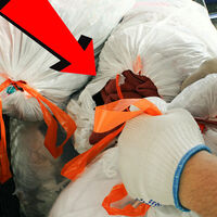 No es la marca o el precio, solo estás usando mal las bolsas de basura: Profeco