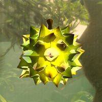 Cómo conseguir Durián Vivaz y Rábano Vivaz en Zelda Breath of the Wild 